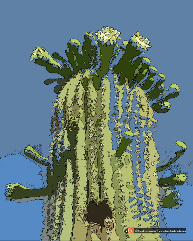 Saguaro Bloom Pop Art