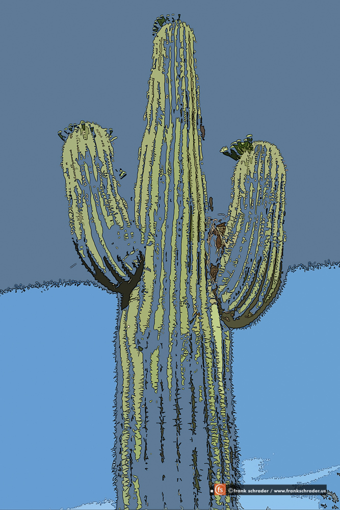 Saguaro Pop Art