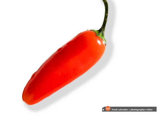 Chili Pepper on pure white background