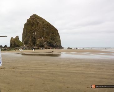 Drones prohibited signs can be found at many landmarks in the United States