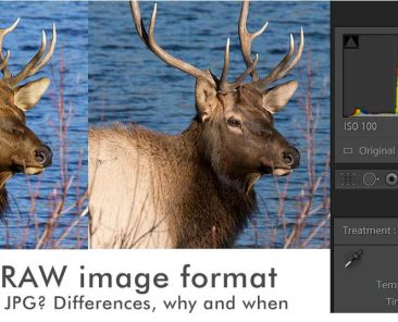 RAW vs JPG image format