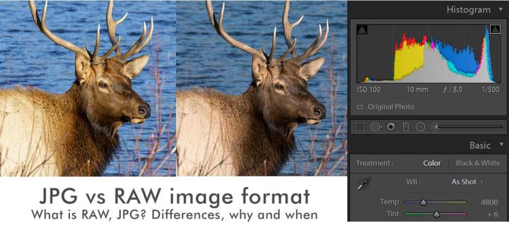 RAW image format in photography and RAW vs JPEG / Picture Profiles ...